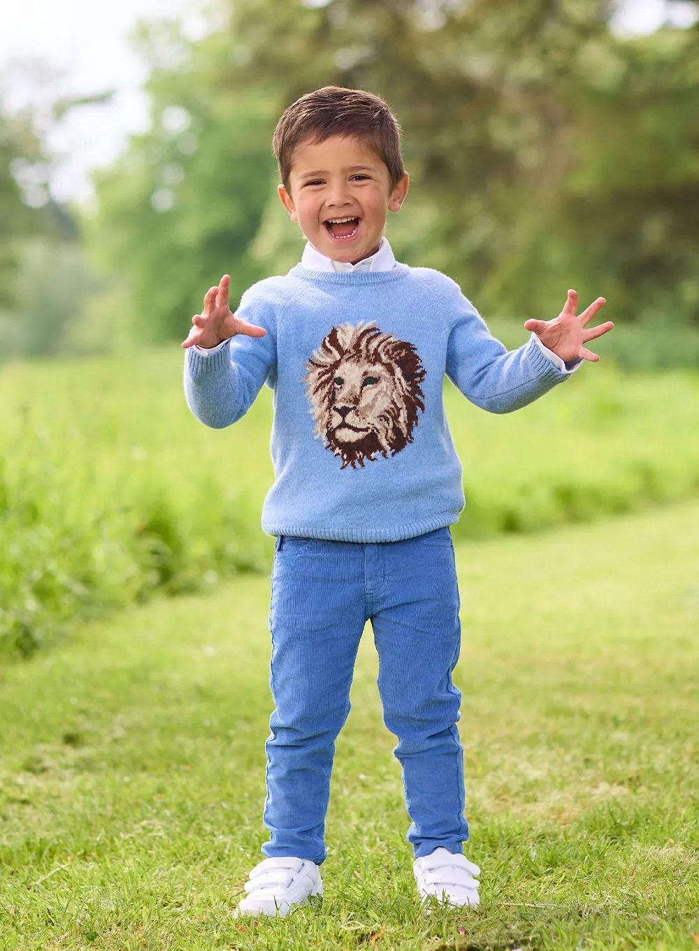 Augustus Lion Jumper