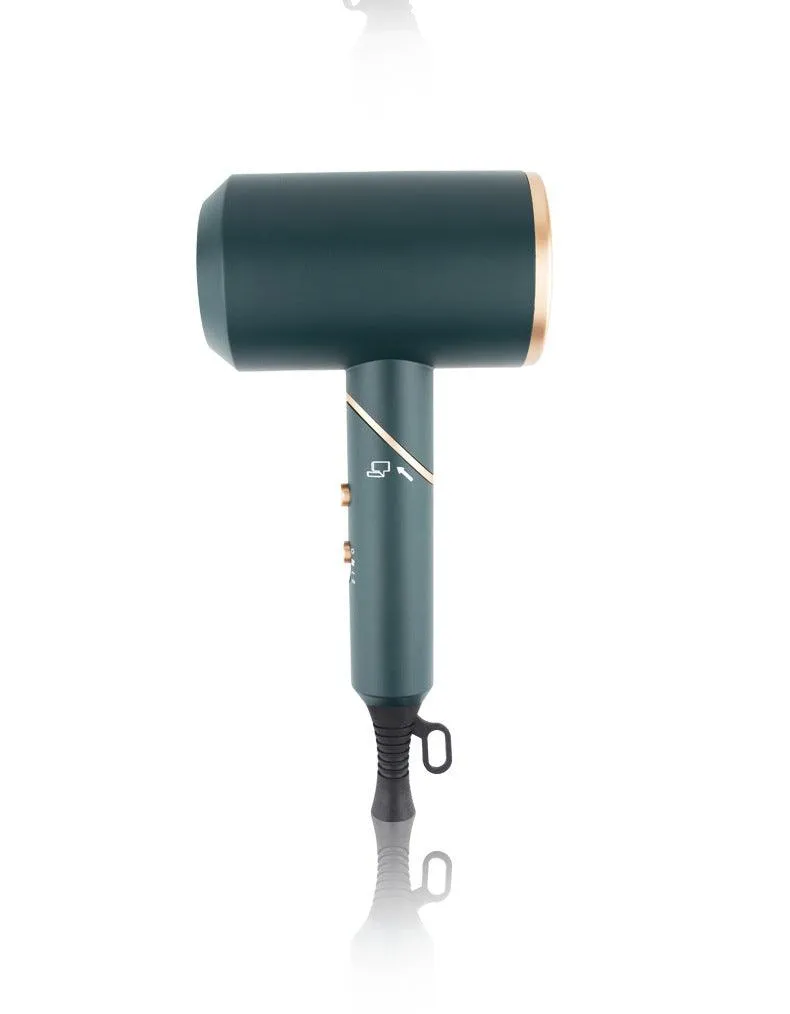 Electric Hair Dryer Gift Hair Salon Negative Ion