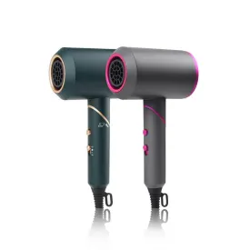 Electric Hair Dryer Gift Hair Salon Negative Ion